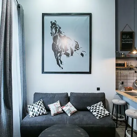 Apartment дві незалежні квартири поряд загалом для 8 гостей, кл *